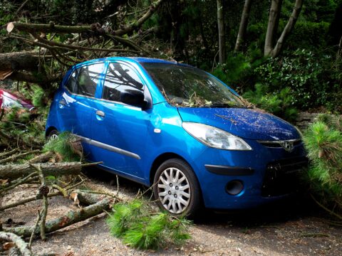 car insurance claim 2026
